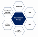 Unlocking the Power of Multiplex IHC (mIHC) with Advanced Tools and Kits