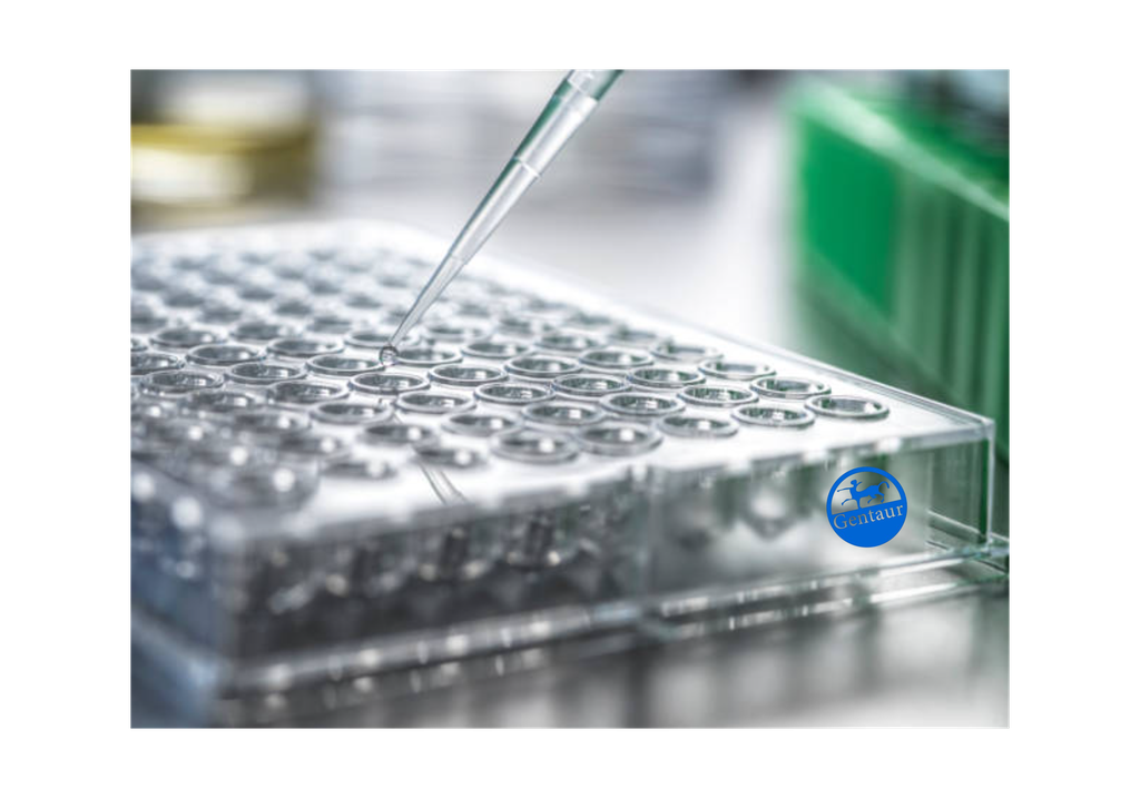 ELISA  Activin Receptor Type IA anti-