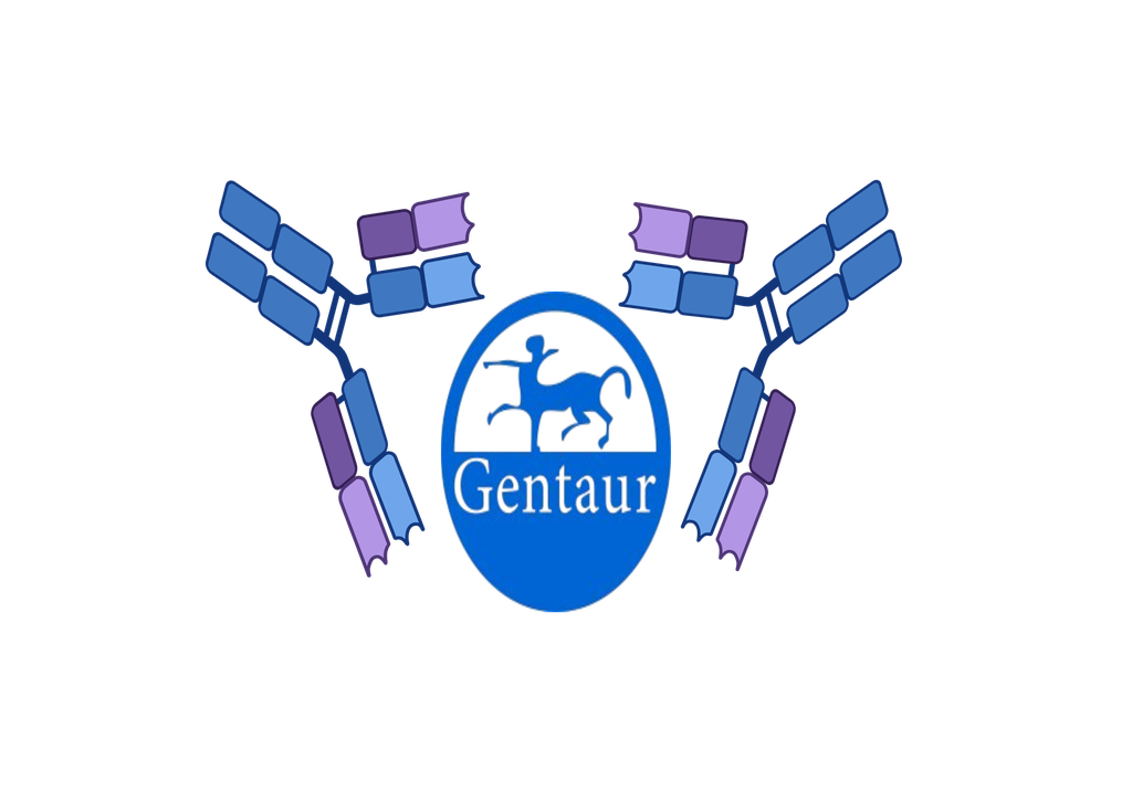 NADAL C. difficile Toxins A&B+GDH