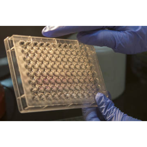 [CSB-PA587551] ELISA   ACY3 anti-